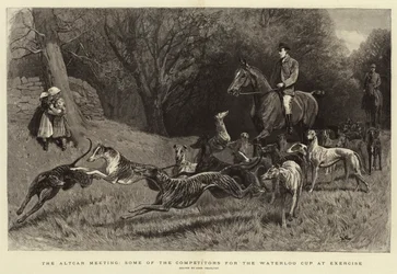 The Altcar Meeting, Some of the Competitors for the Waterloo Cup at Exercise